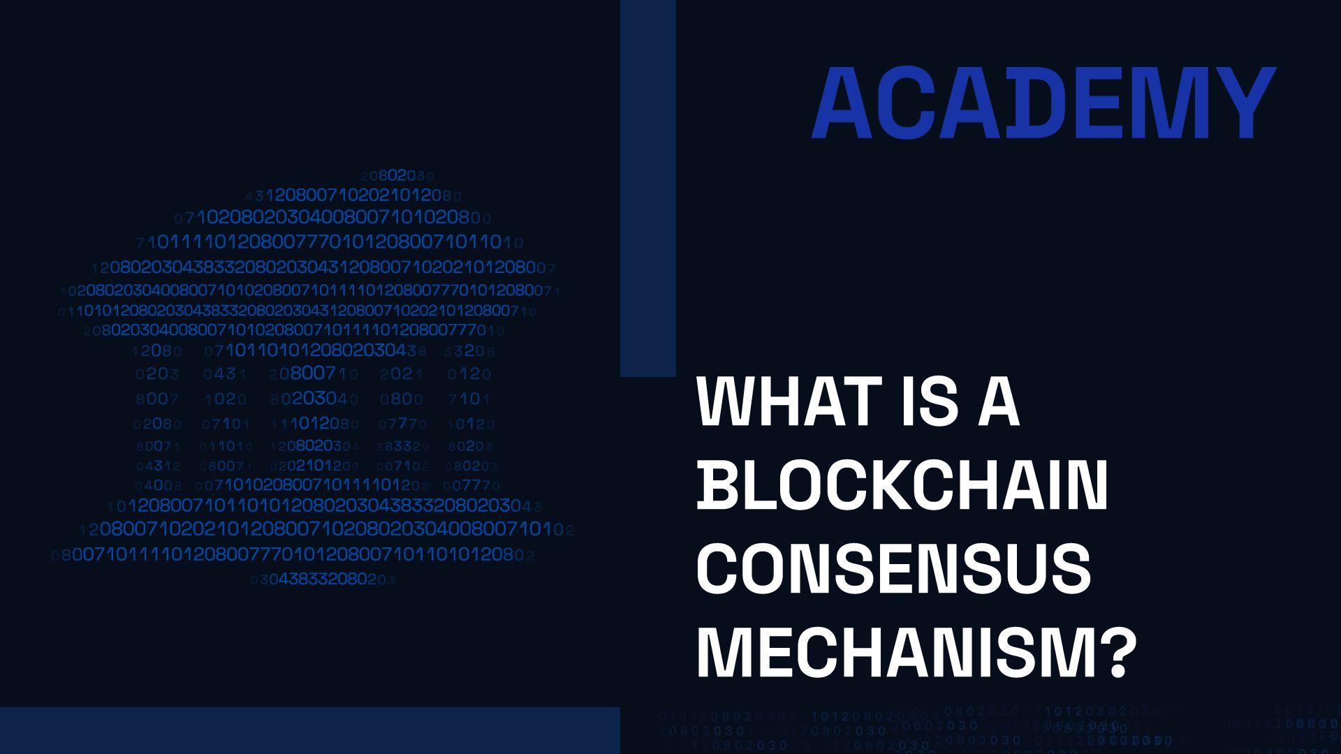 What is a Blockchain Consensus Mechanism?