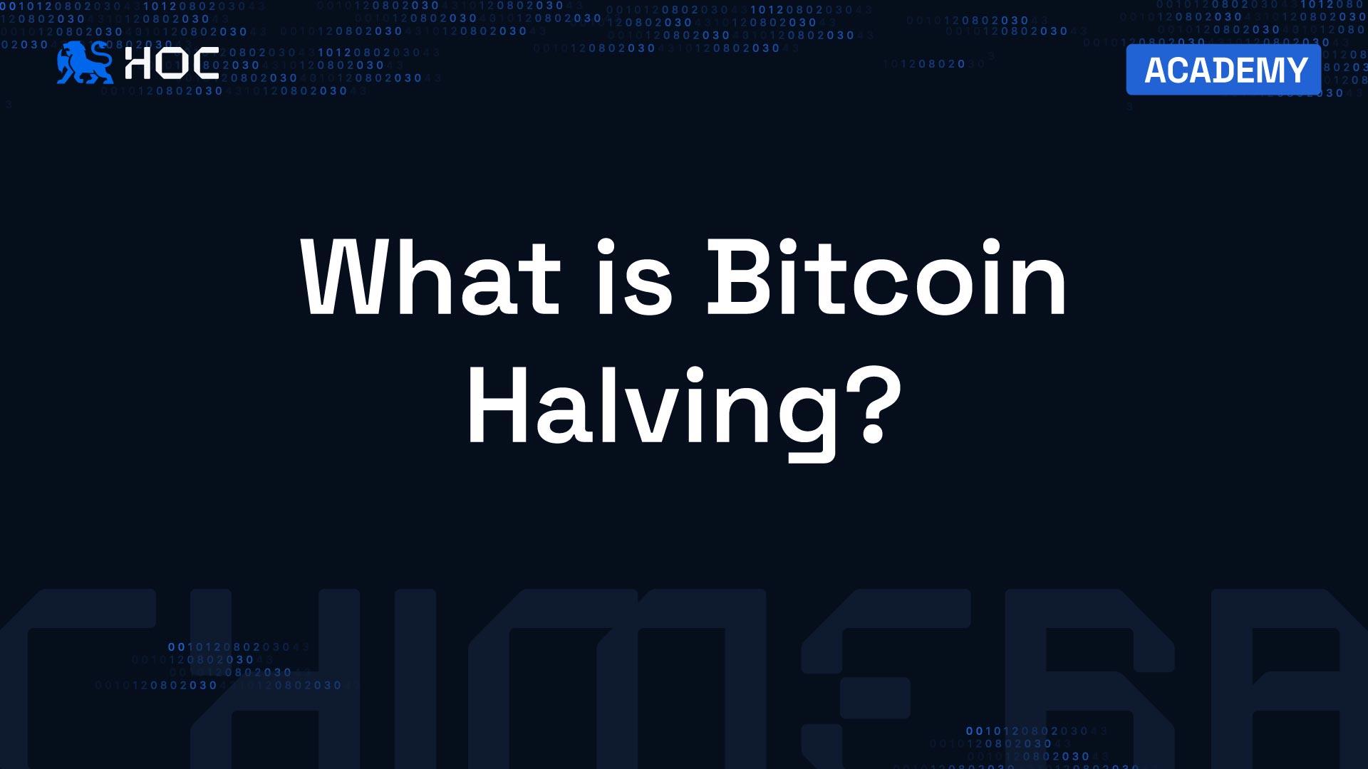 What is Bitcoin Halving? The impact of Bitcoin Halving on the market
